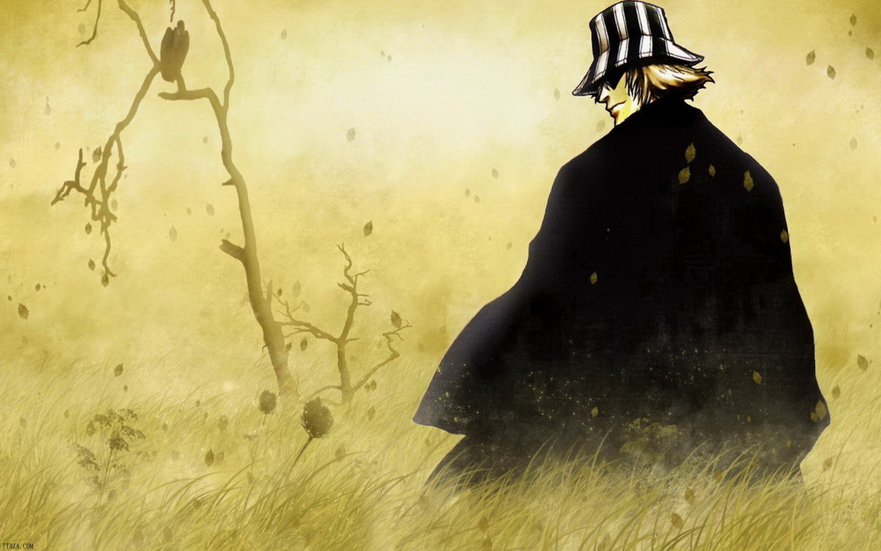 Bleach theme