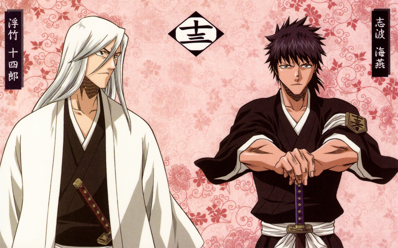 Bleach theme