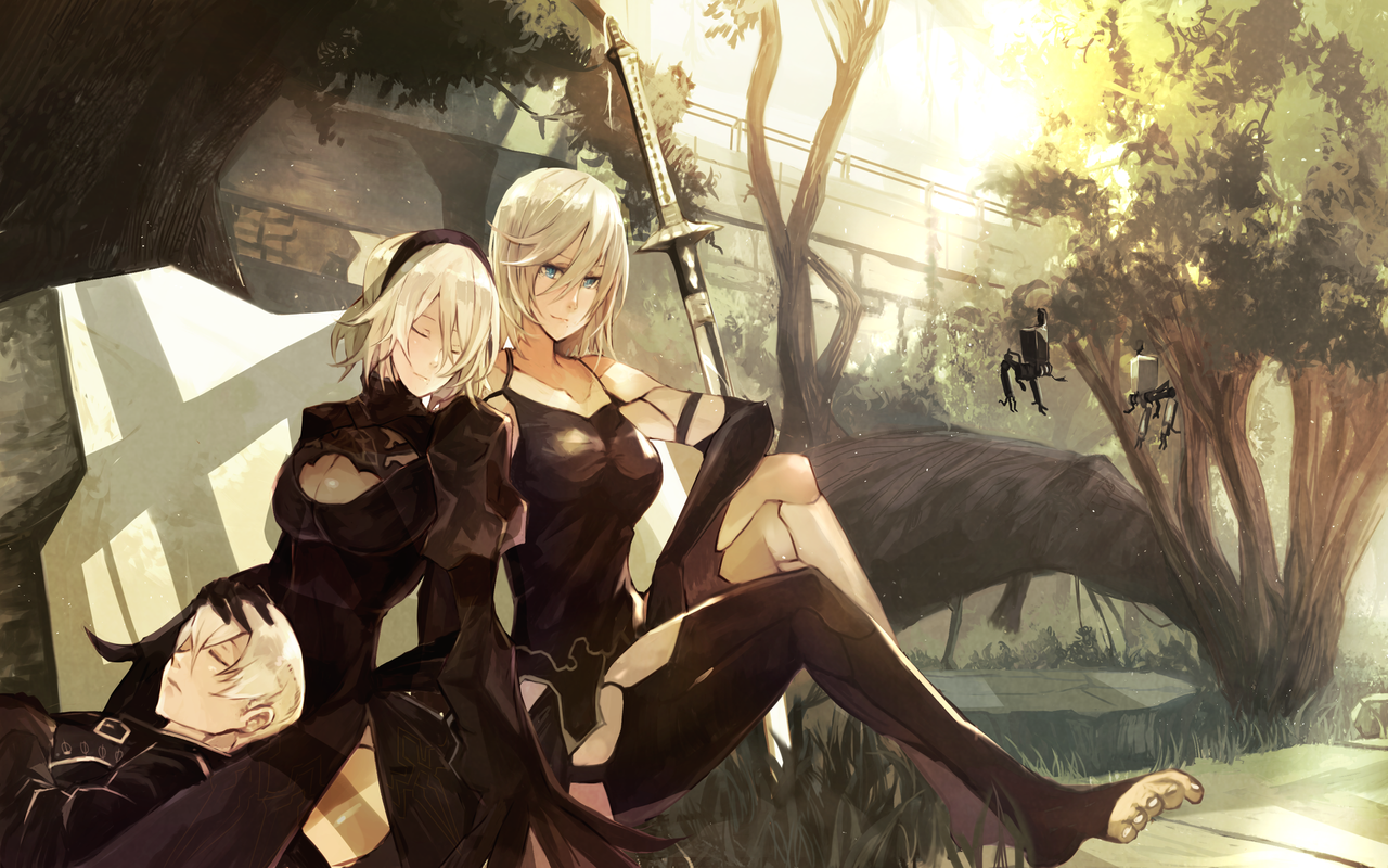 2B theme