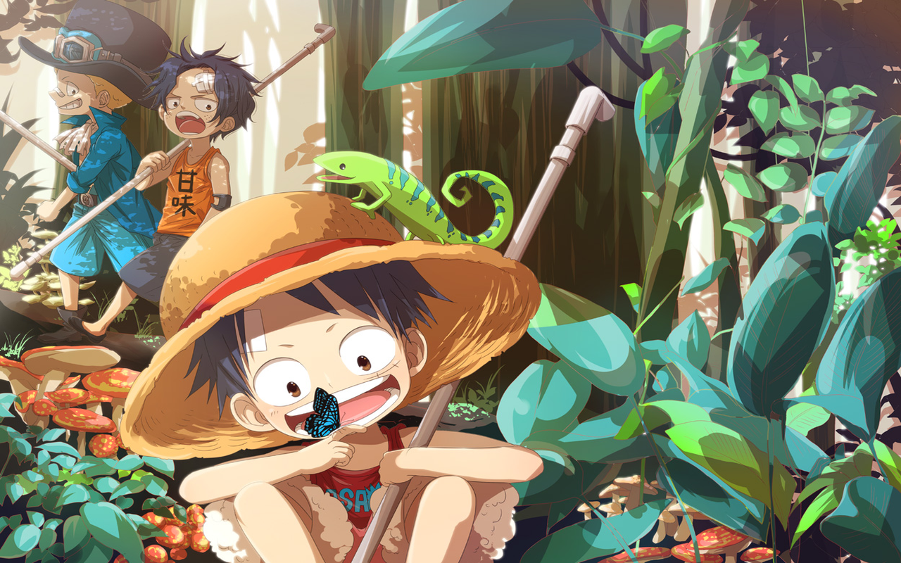 One Piece theme