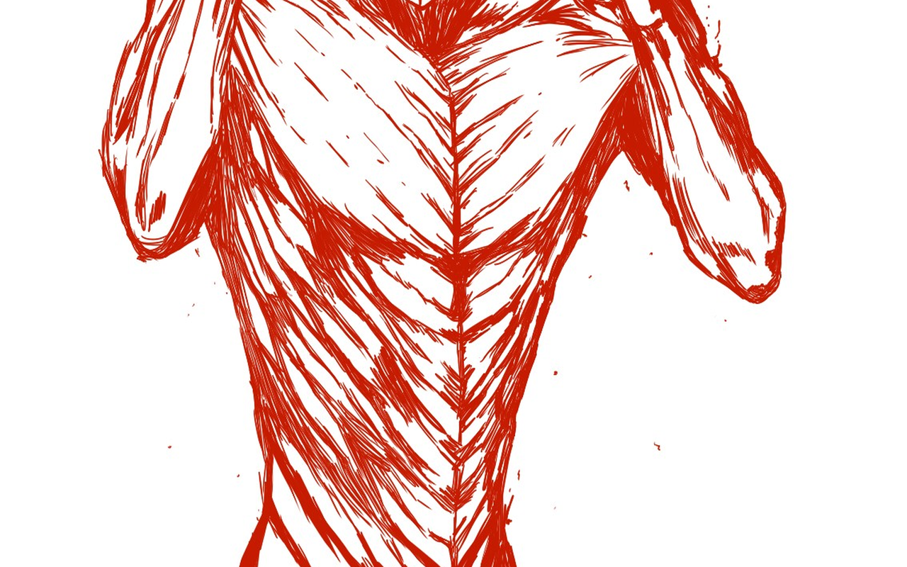 Attack on Titan theme