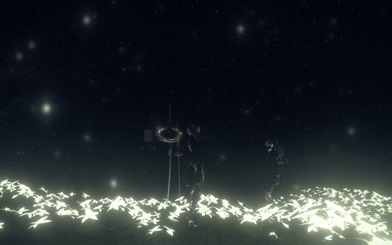 2B theme